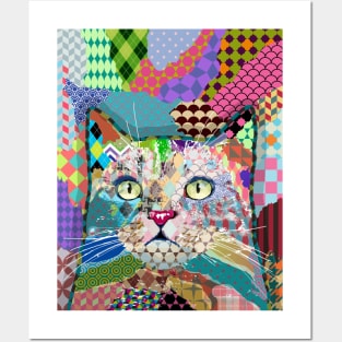 Multicolor Cat 671 Posters and Art